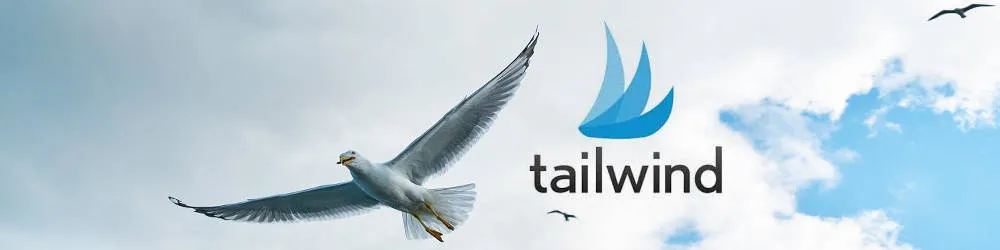 Tailwind: Media.net results