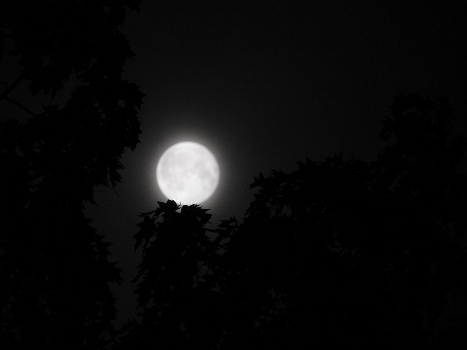 Full Harvest Moon