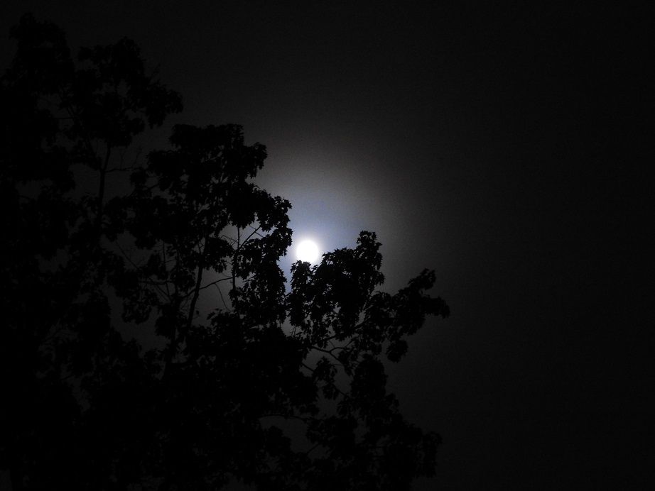 Full Harvest Moon