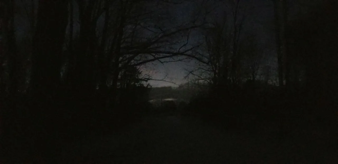 20180116_174719 - driveway looking toward house after  sunset in snow.jpg