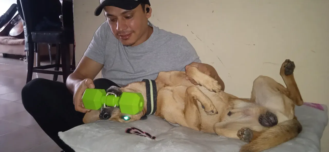 6WaQxrkLpnFDwLLD_IMG_20250526_121223.webp