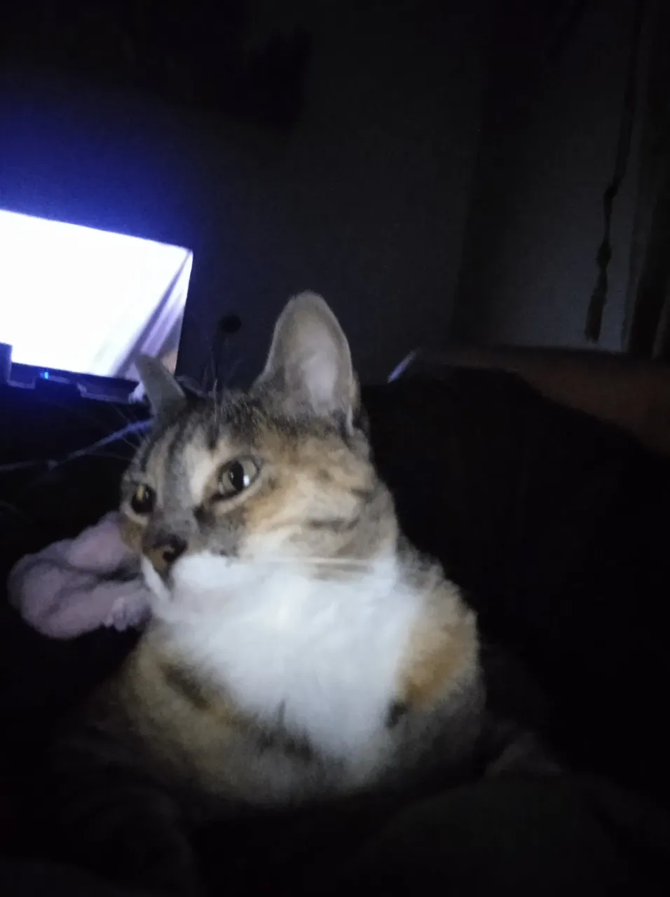 6jicYAxT6yiaacFe_IMG_20250629_182548.webp