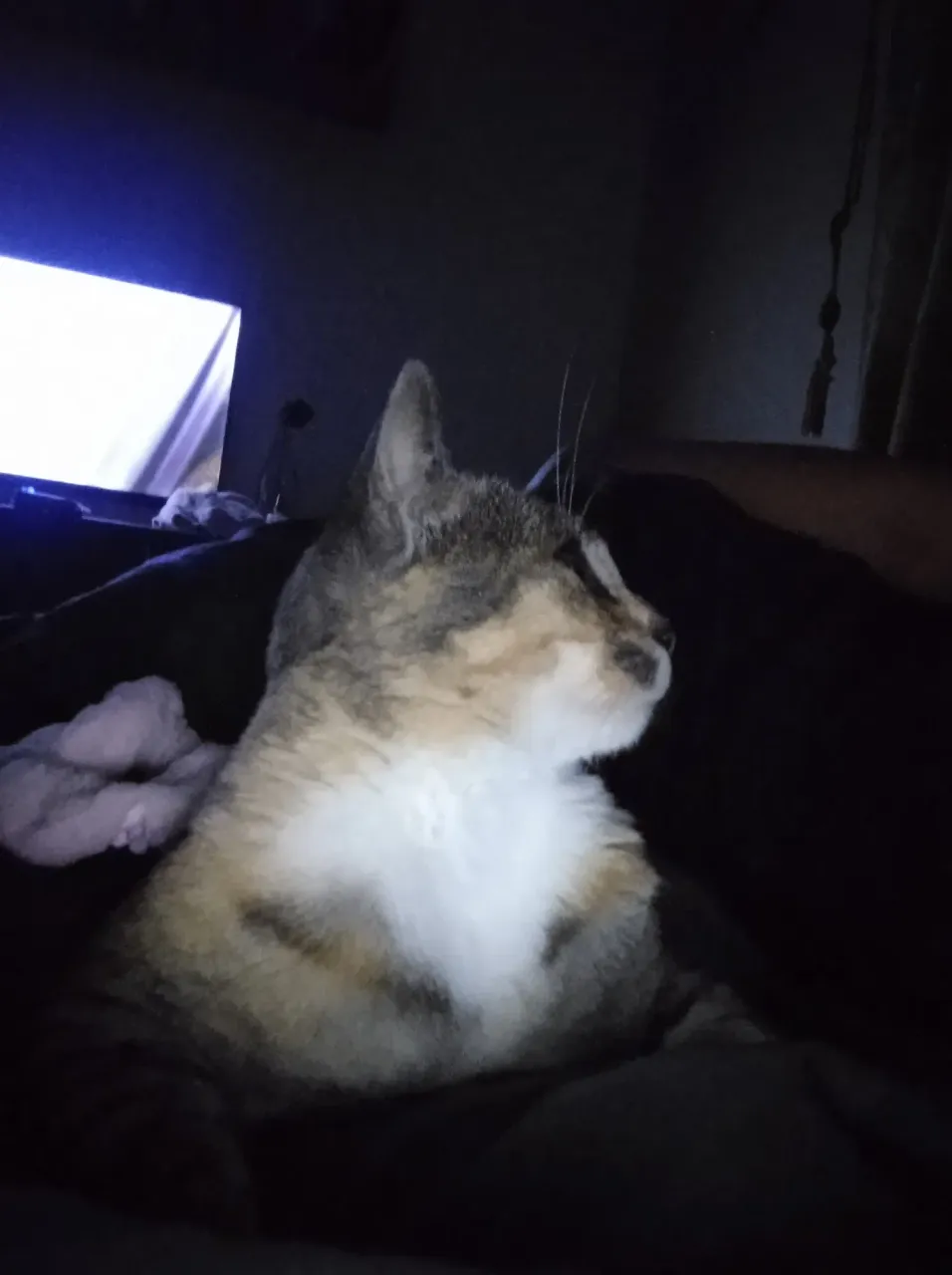 Wz0w4mcz4Dcn9JNy_IMG_20250629_182554.webp
