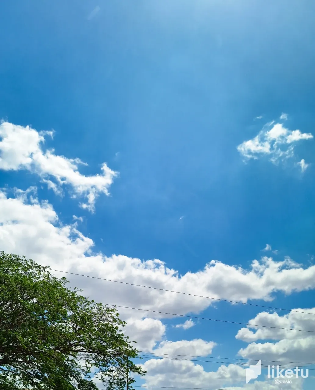 cltrt4sjs00jl5jsz0ynf0pf5_20240313_134131.webp