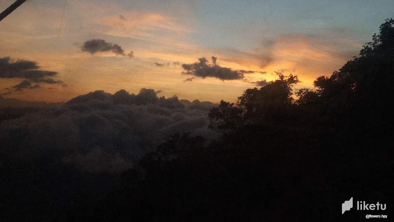 clk2699yy02sxa9szbnsl0z9e_cielo_hive_6.webp