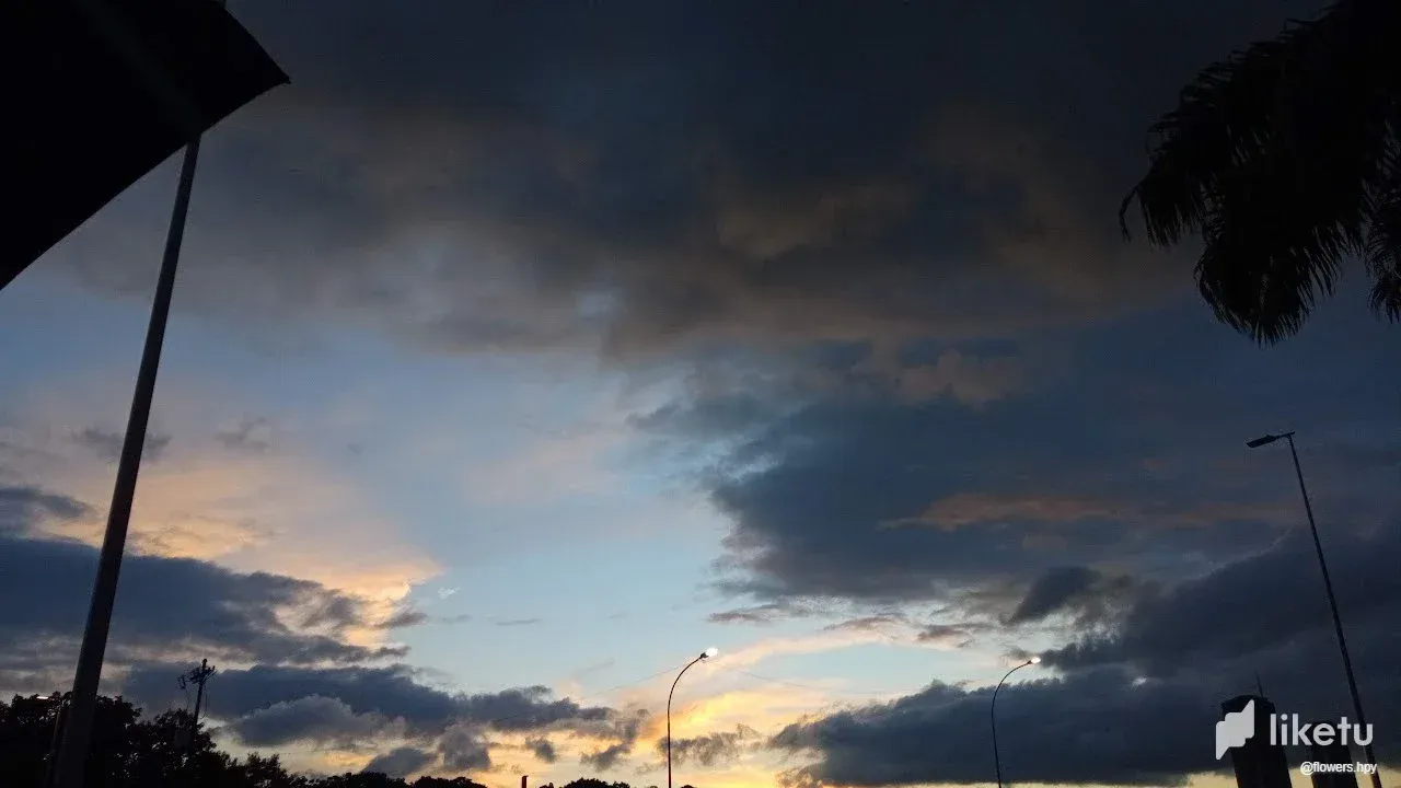 clk269qc202qi6vsz8rnacweb_cielo_hive_3.webp