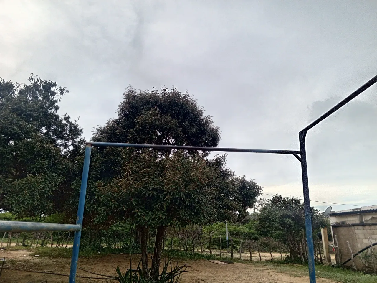 XgLrDVnZs8UpGPEp_IMG_20241221_172258_212.jpg