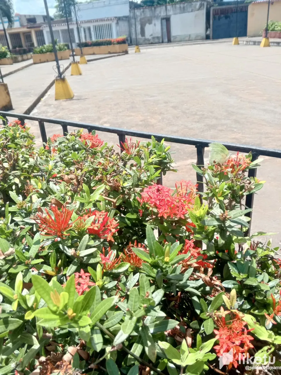cnlk8cT3io6oPwle_IMG-20250801-WA0086.webp