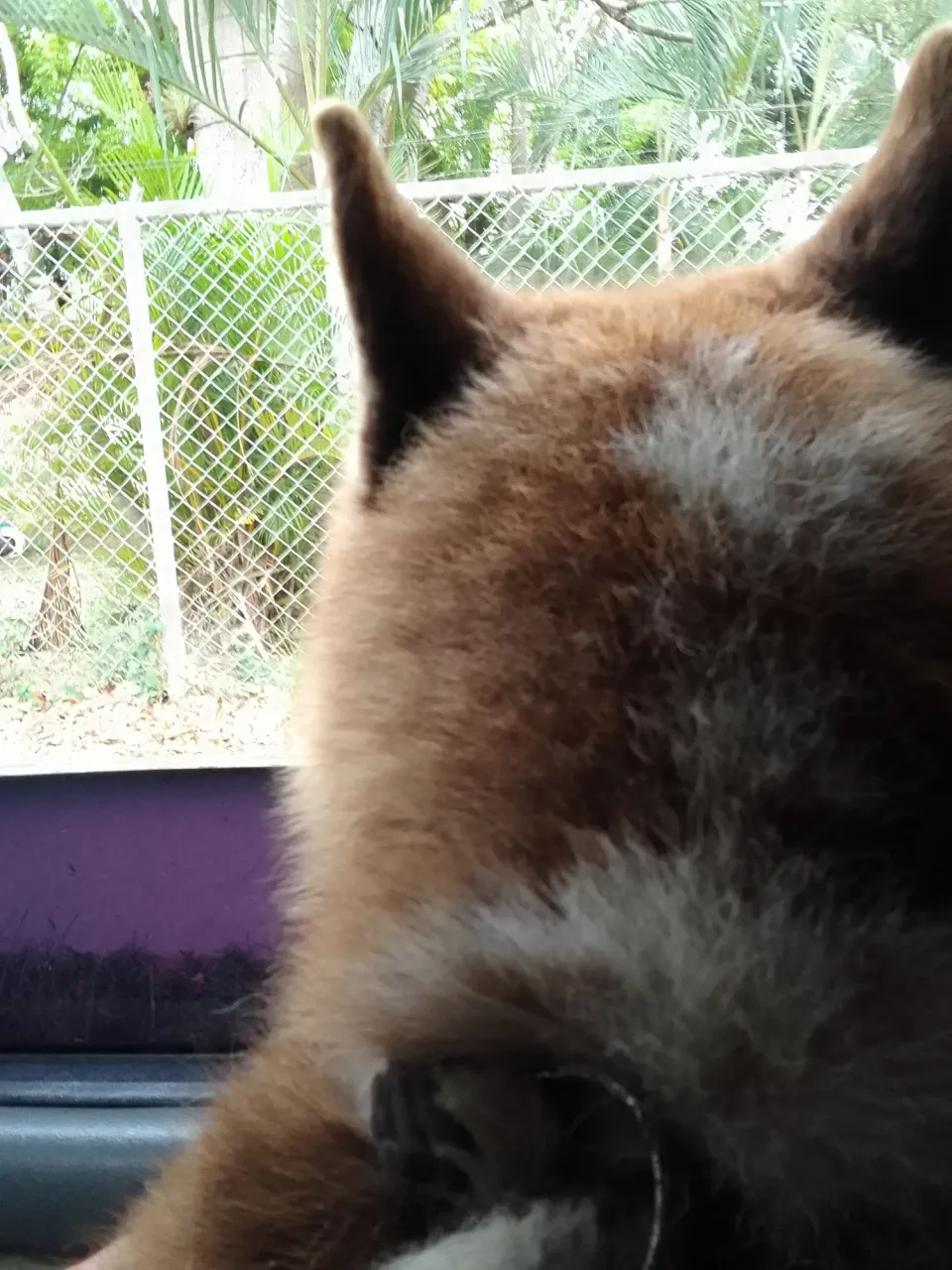0VpNun37lGHzplW7_IMG_20250401_094739_781.webp