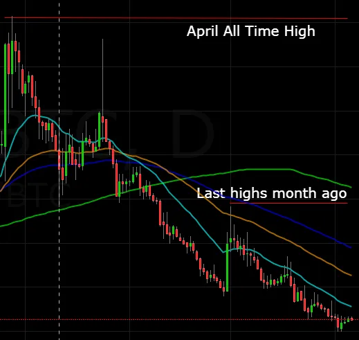 Coins_On_My_Mind__Steem_Chart_-_Cryptoxicate_com.PNG