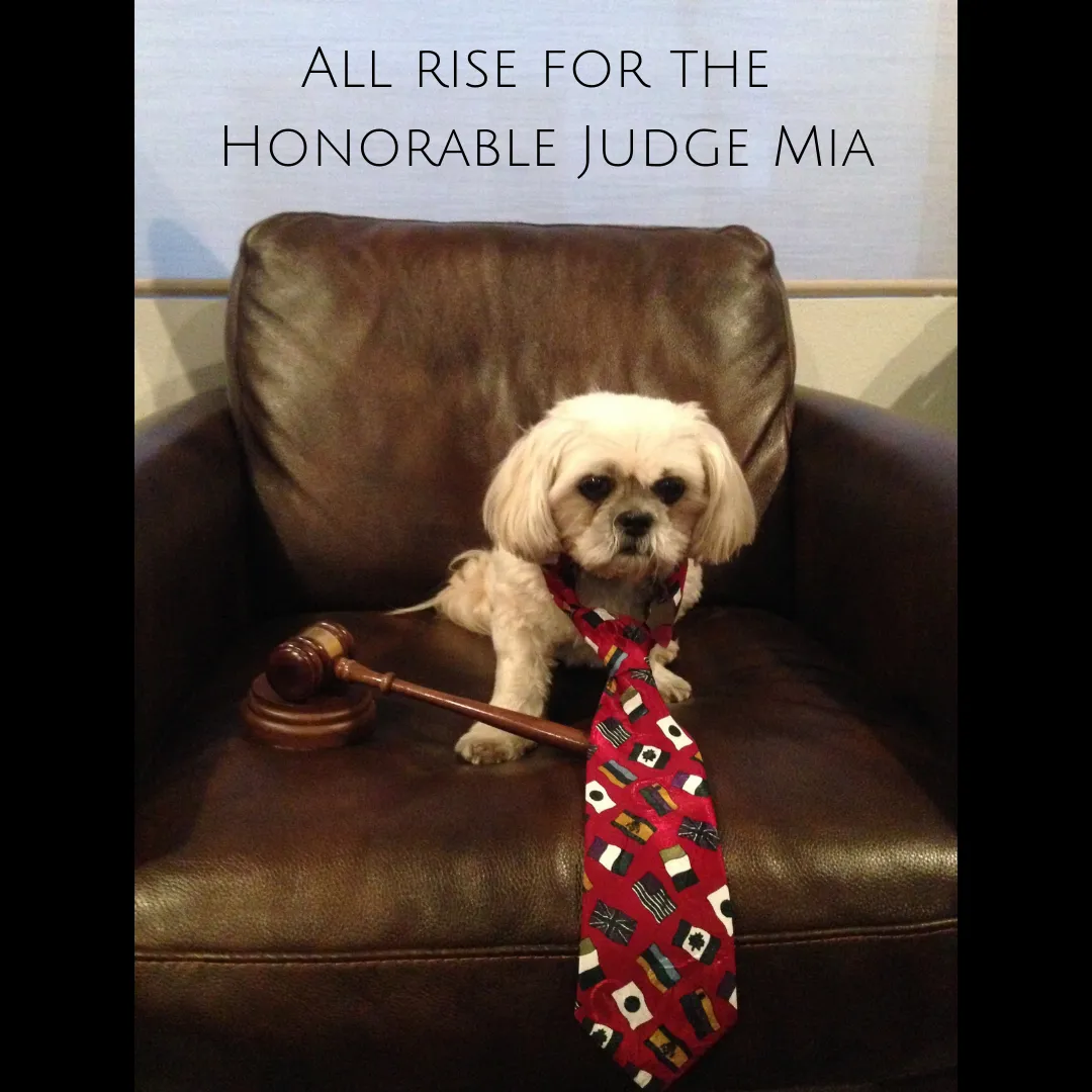 All rise for the Honorable Judge Mia.png