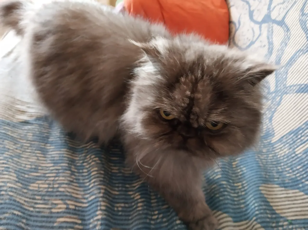 WhatsApp Image 2019-04-11 at 21.59.20-1.jpeg