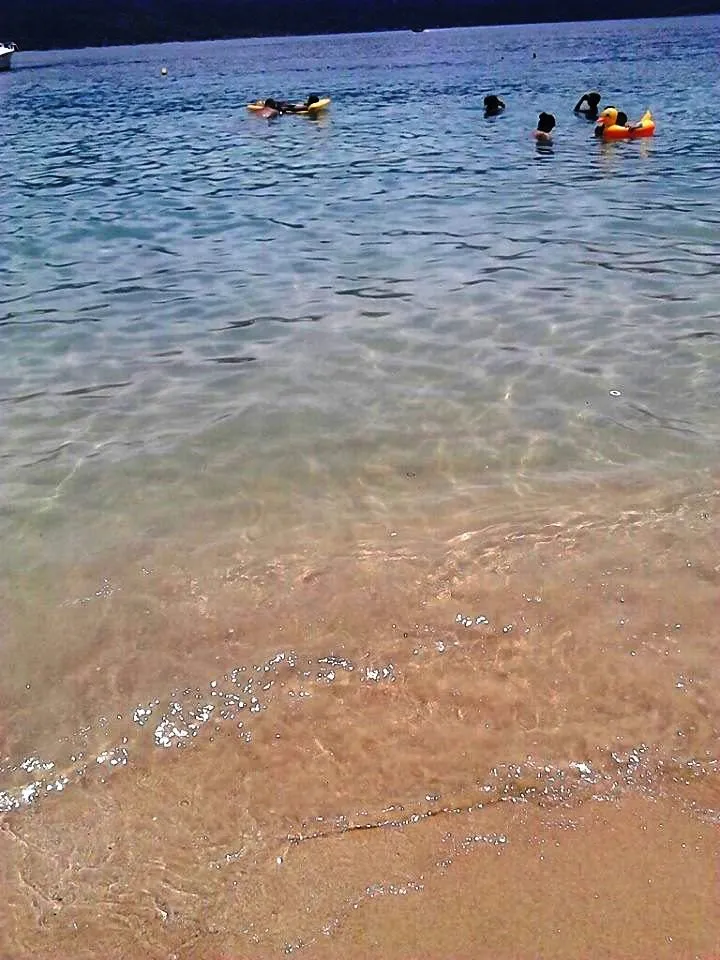 10703937_10204131768748172_8263220304472545433_n.jpg