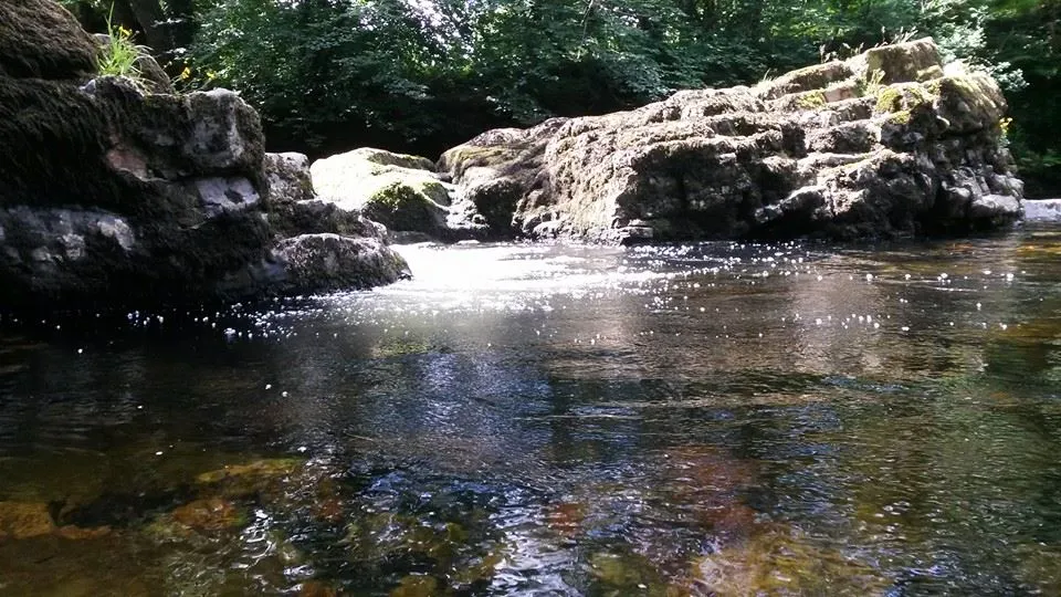 13729123_10207907358336226_2789843764167855396_n.jpg