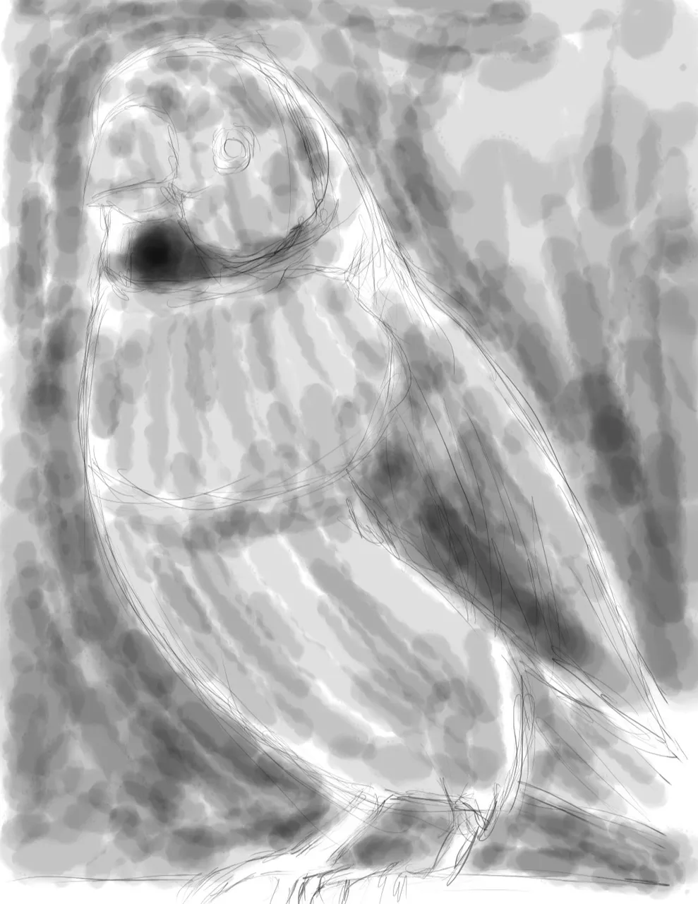 Screenshot_20220418-162838_Autodesk SketchBook.jpg