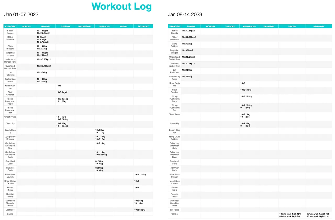 First 2 weeks of workout this year - January