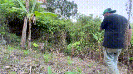IMG_1216.gif