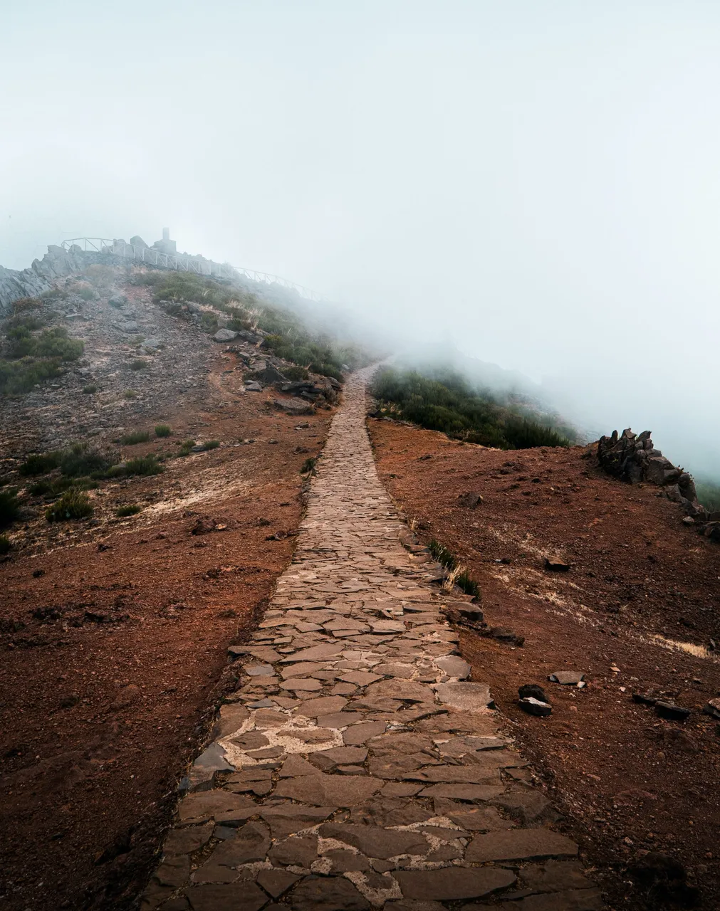 tim-roosjen-BxebGnPMYCE-unsplash.jpg