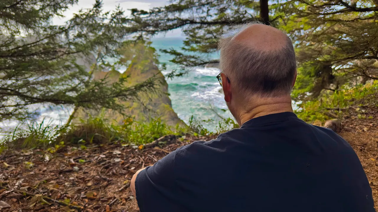 dad overlooking 3 (compressed).jpg