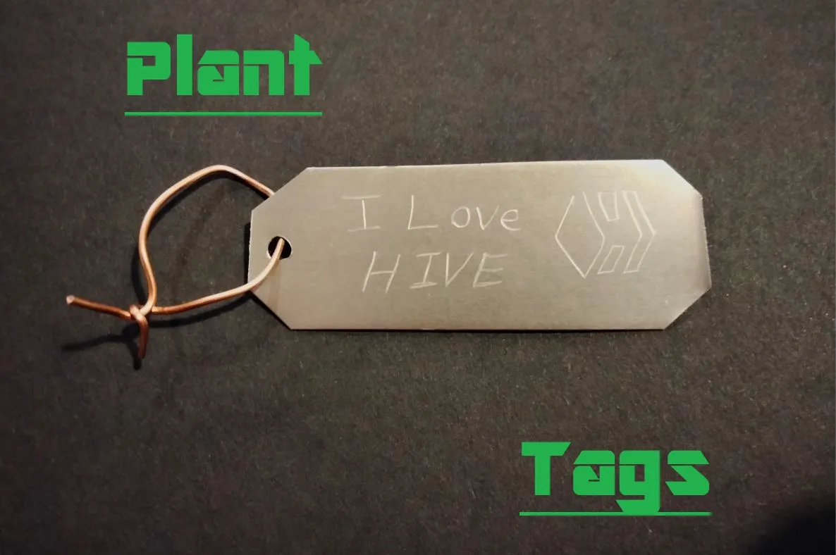 Plant Tags.jpg