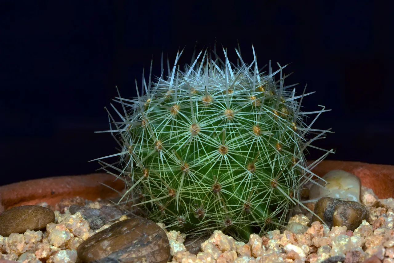 DSC_0001.JPG