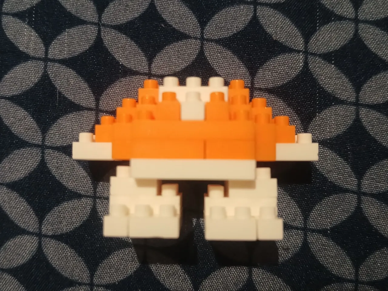1000203314.jpg