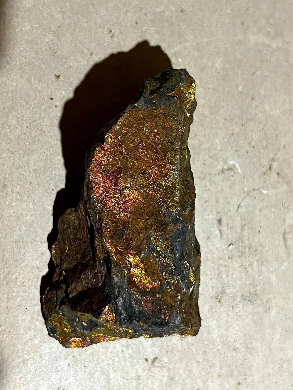 BRINDLE WIDE.jpeg