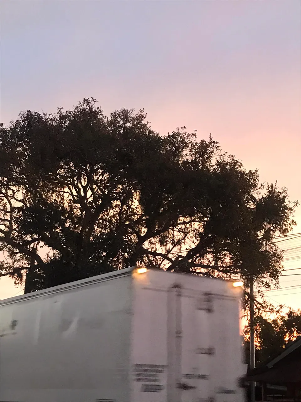 received_614466197475963.jpeg