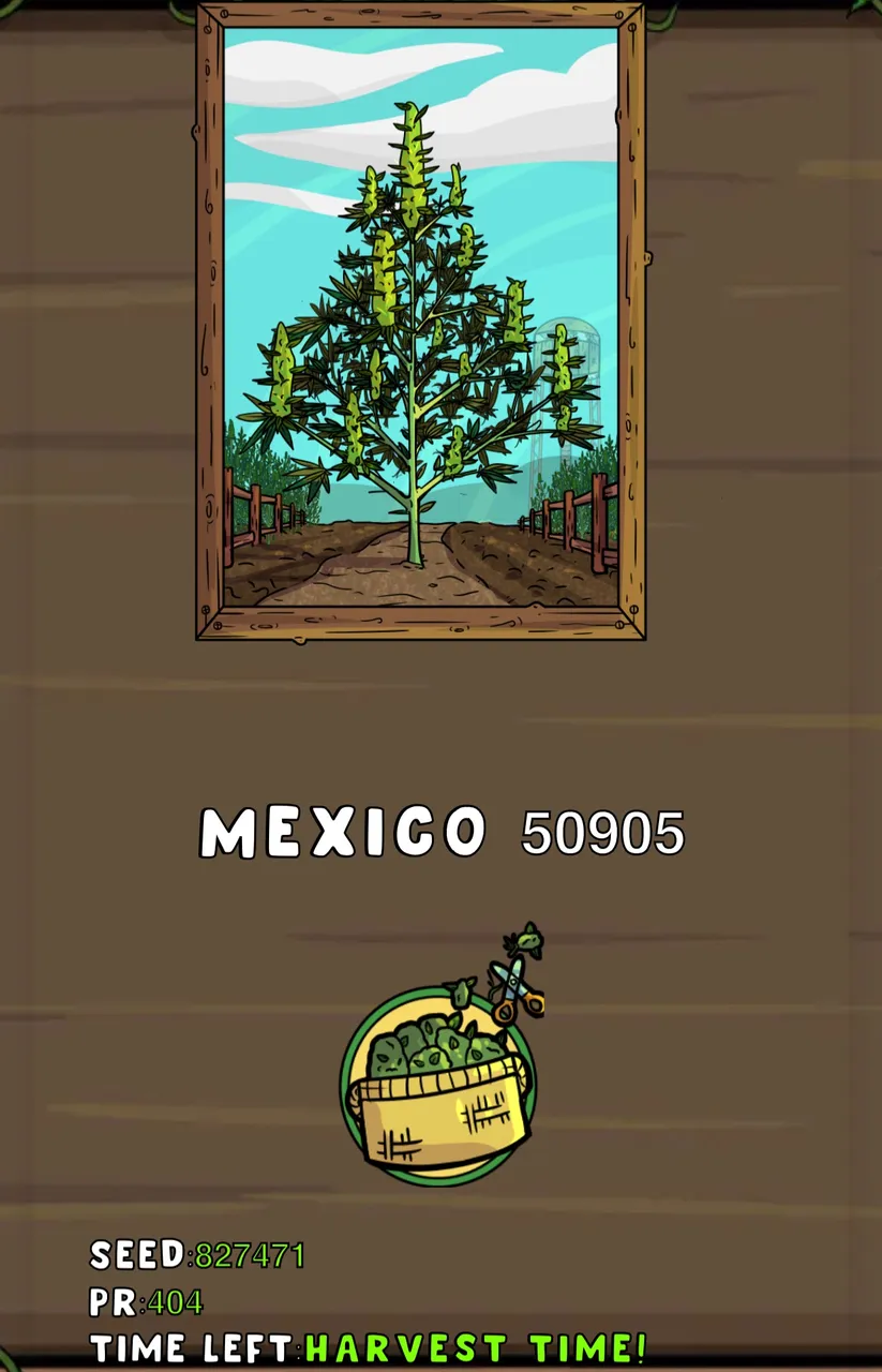 9009DE12-836F-466E-9B8E-BE8DF01D1DDC.jpeg
