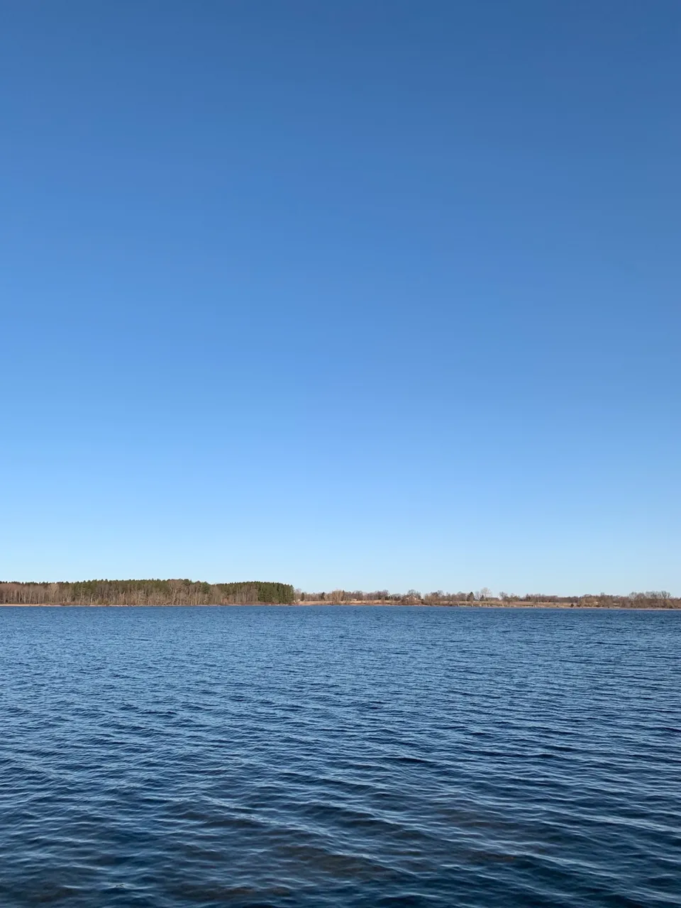 4D7FF410-EC1B-43F1-AC51-1C95EFEFF576.jpeg