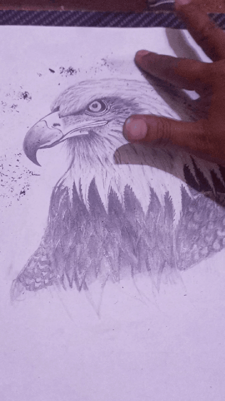 Media_240417_183554.gif
