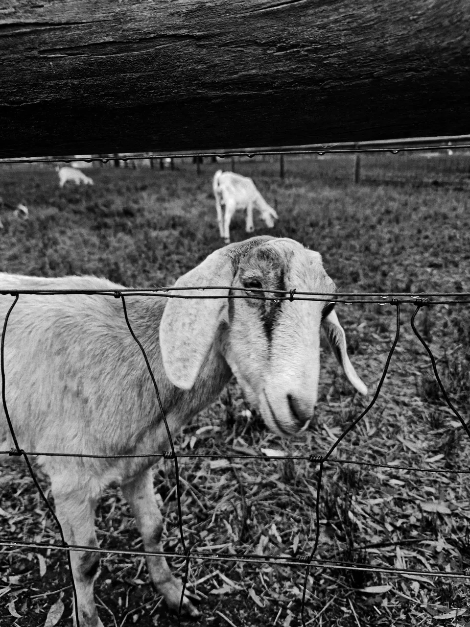 20210126_101242-02.jpeg