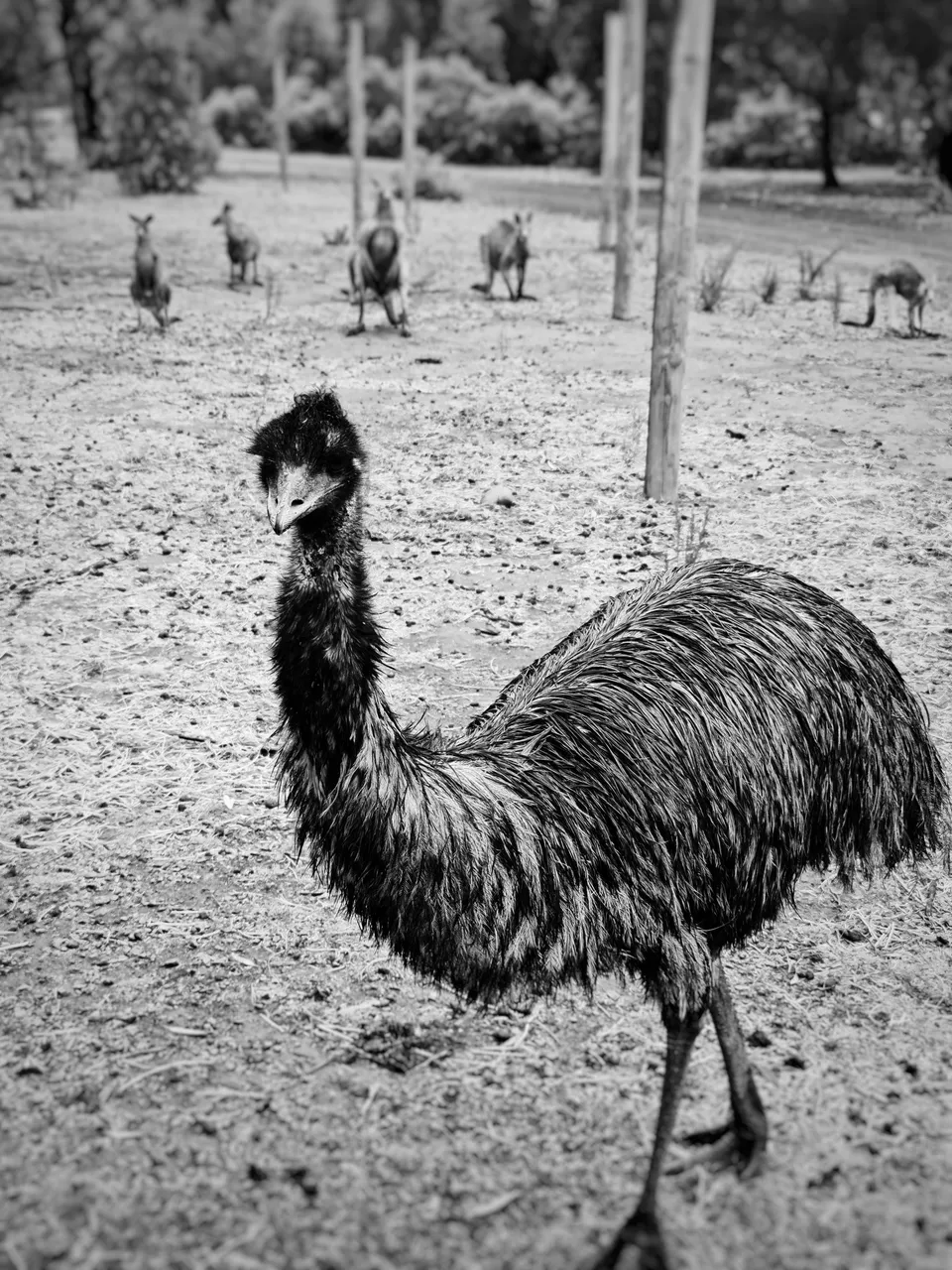 20210126_105259-02.jpeg