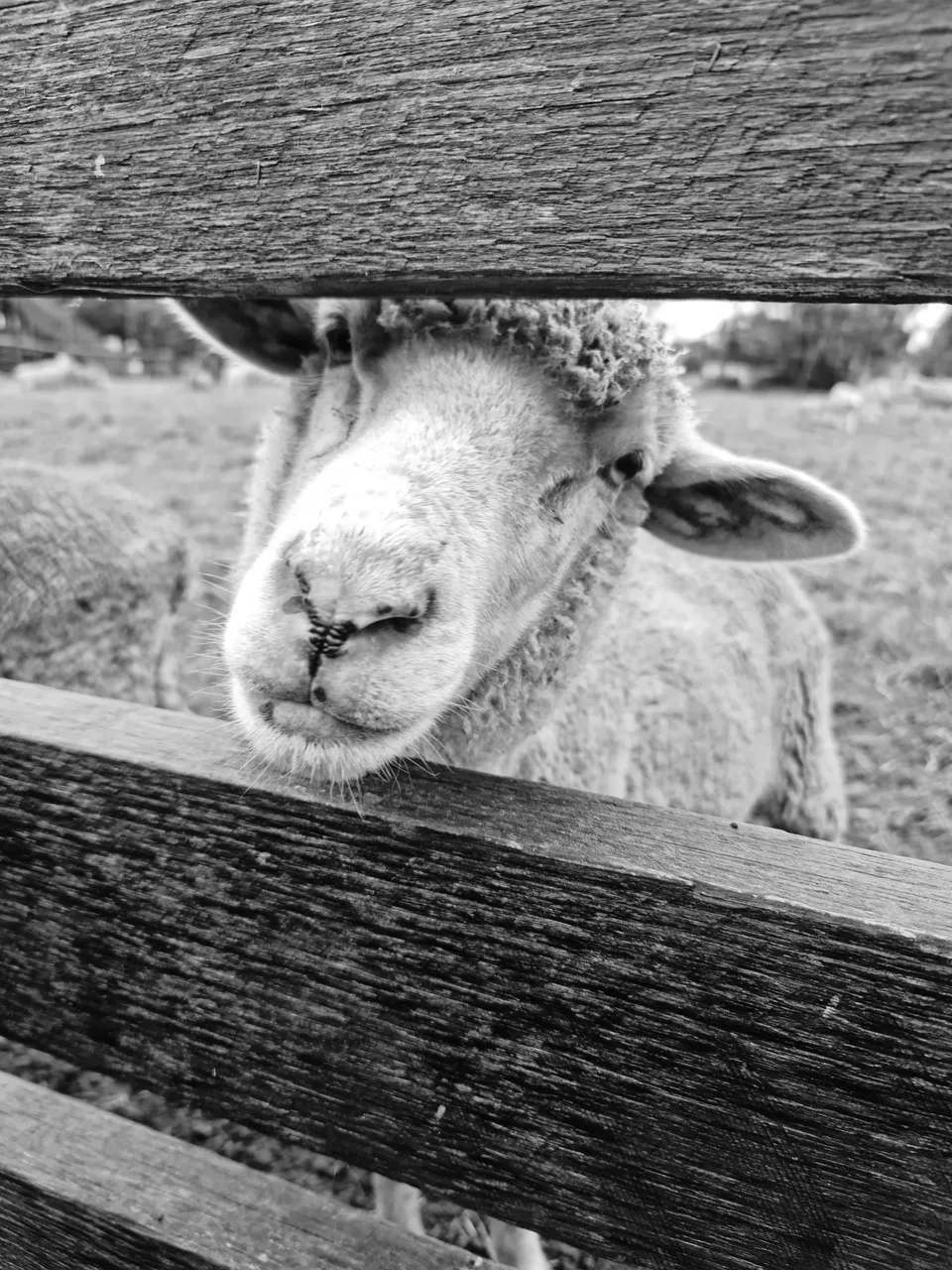 20210126_102237-01.jpeg