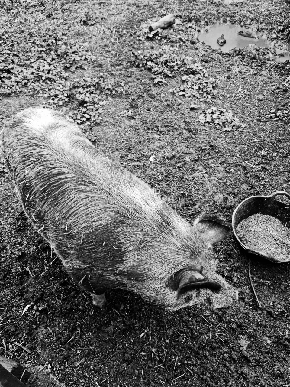 20210126_101909-01.jpeg