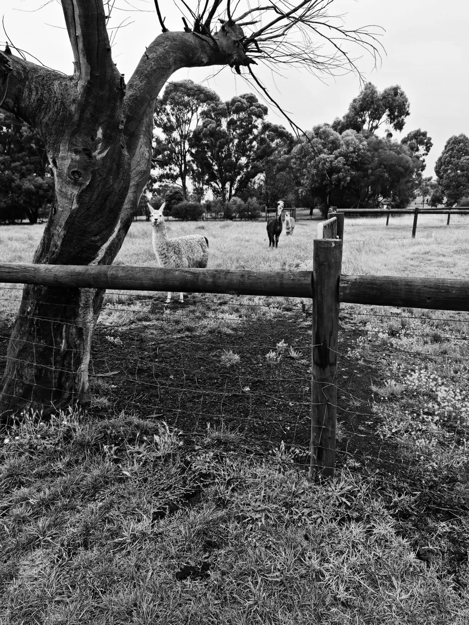 20210126_103108-01.jpeg