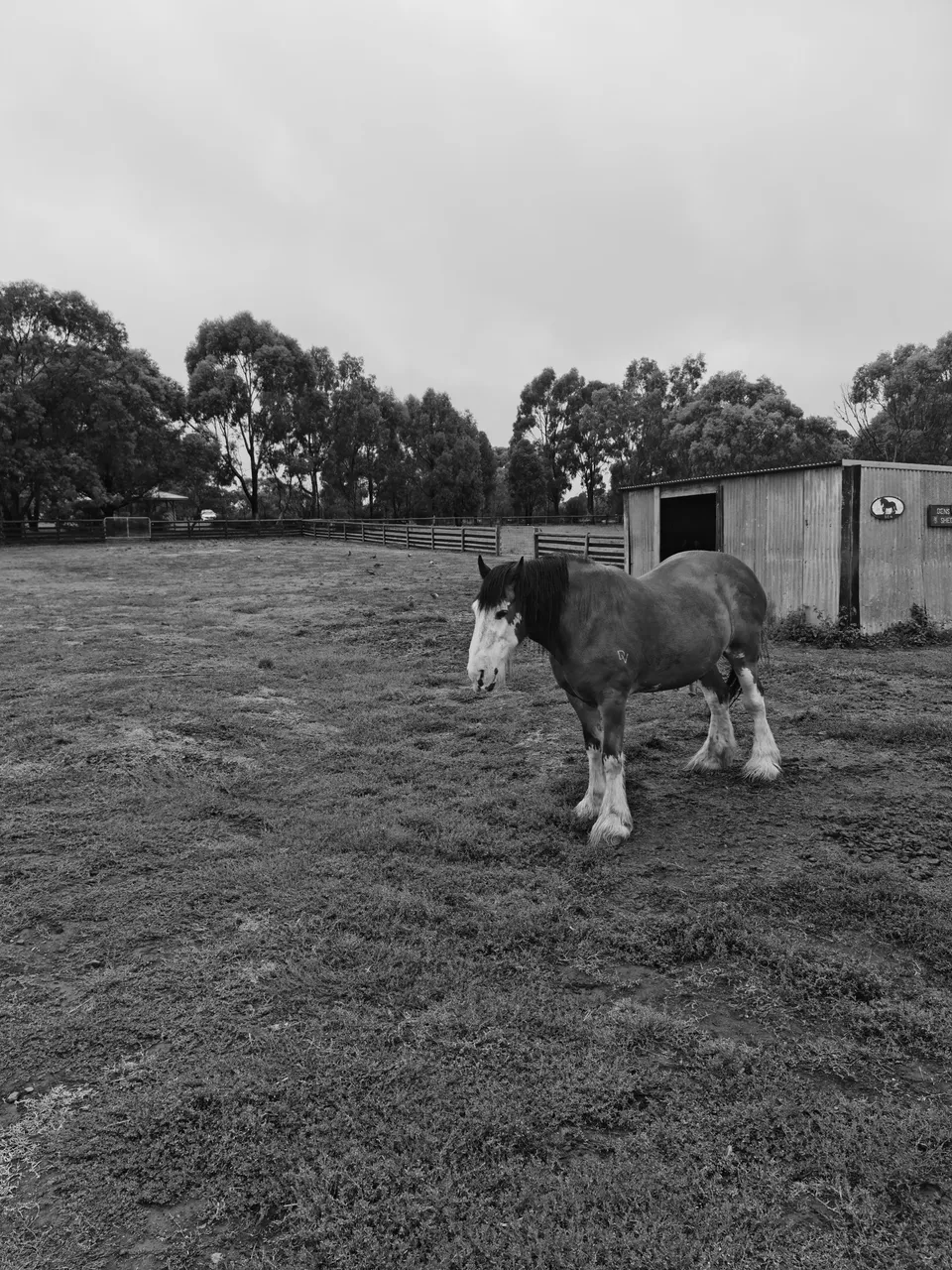 20210126_102158-01.jpeg