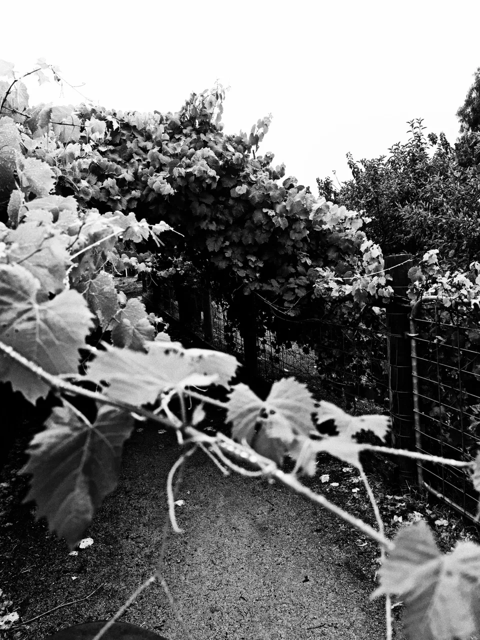 20210126_101721-01.jpeg