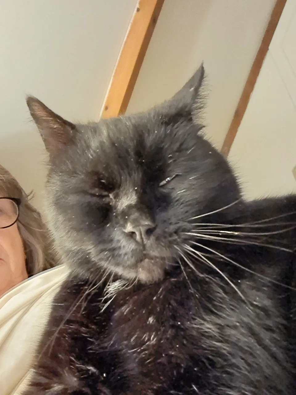 Mr P snuggle