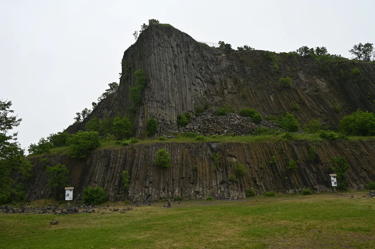 Z62_5367.JPG