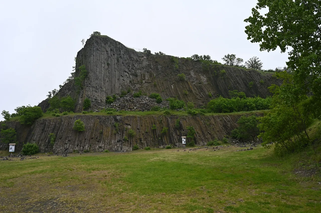 Z62_5467.JPG