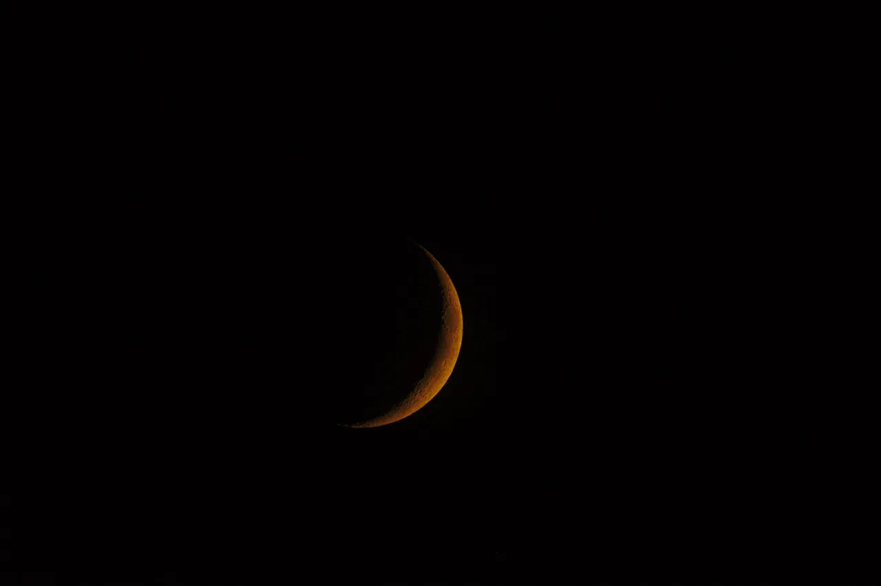DSC_7519.jpg