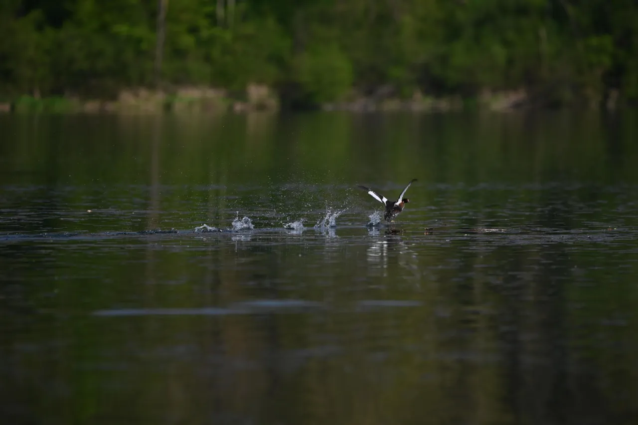 Z62_1467.jpg
