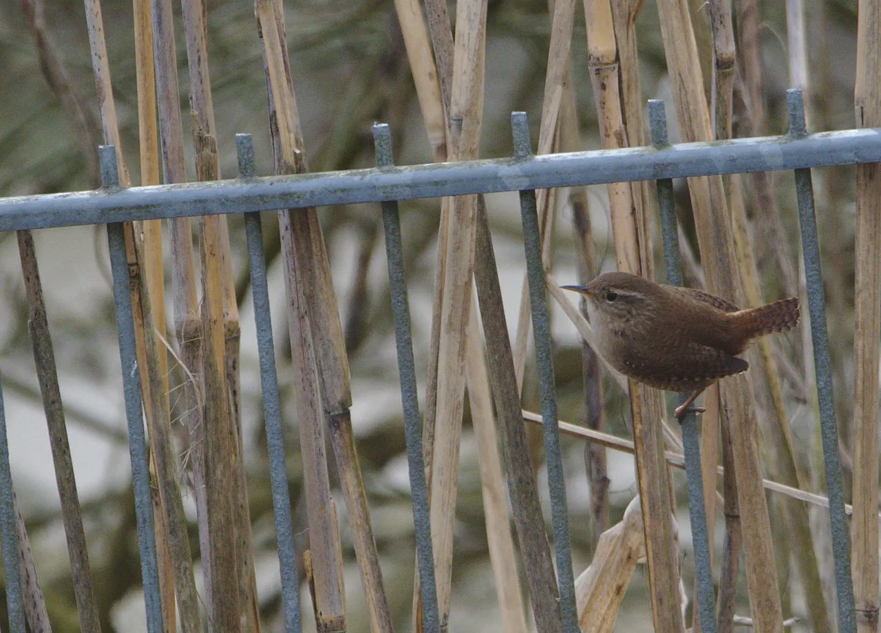 DSC_6843.jpg