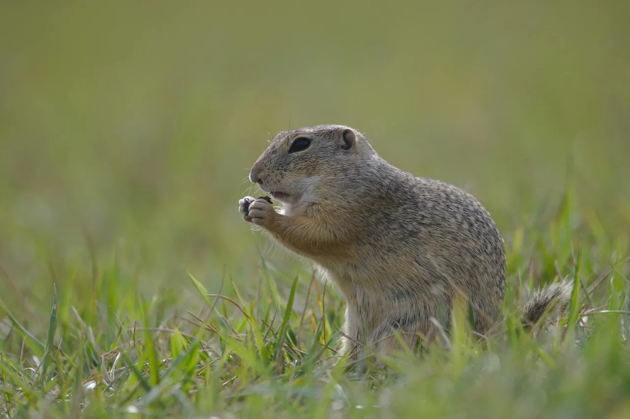 DSC_9695.jpg