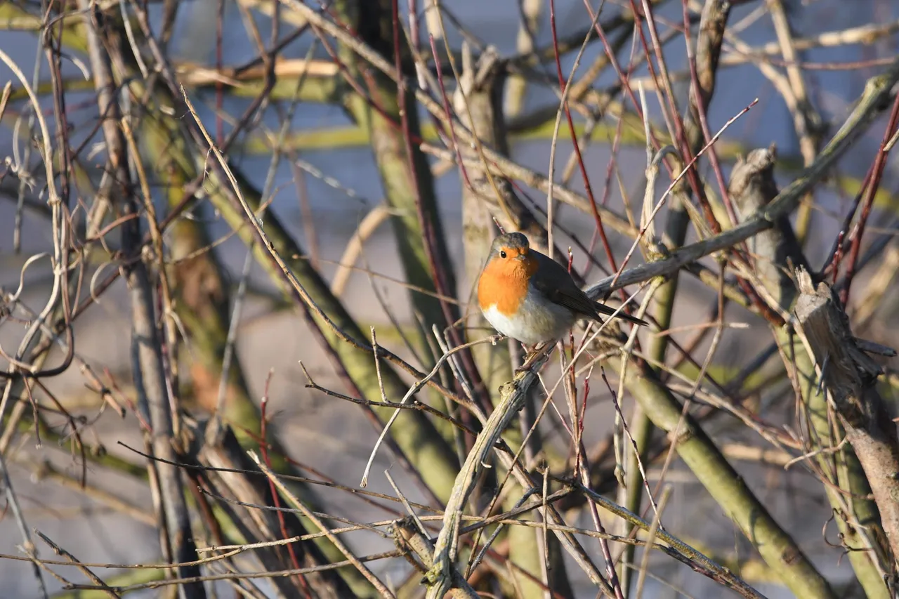 DSC_6717.jpg