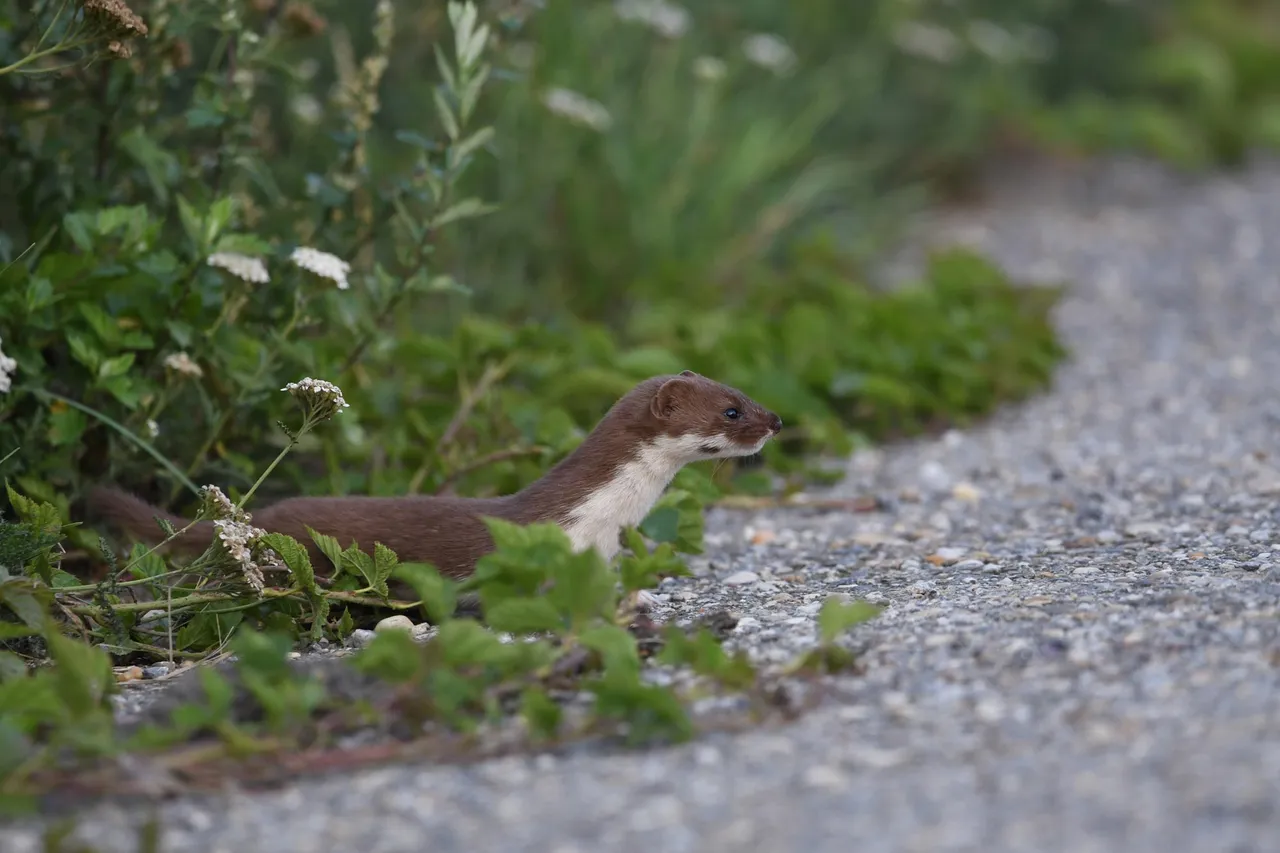 DSC_5552.jpg