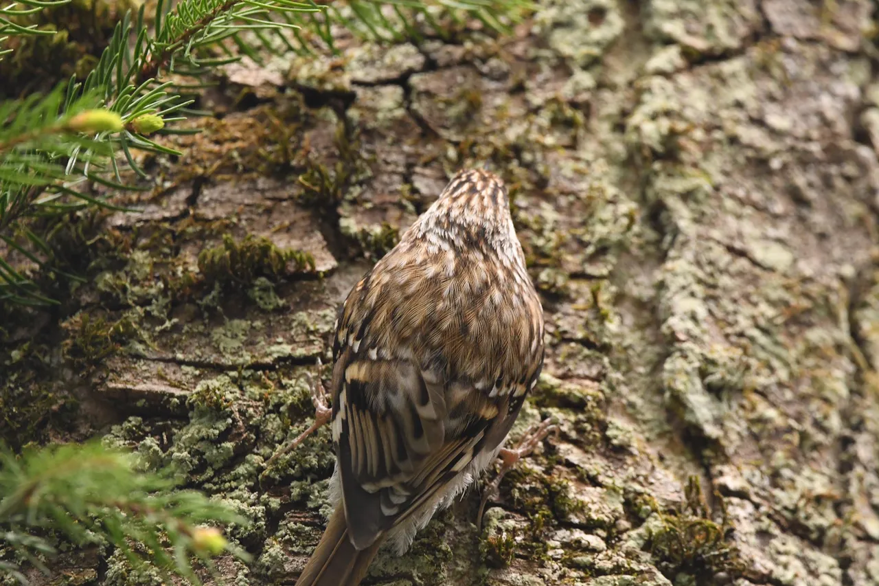 DSC_7857.JPG