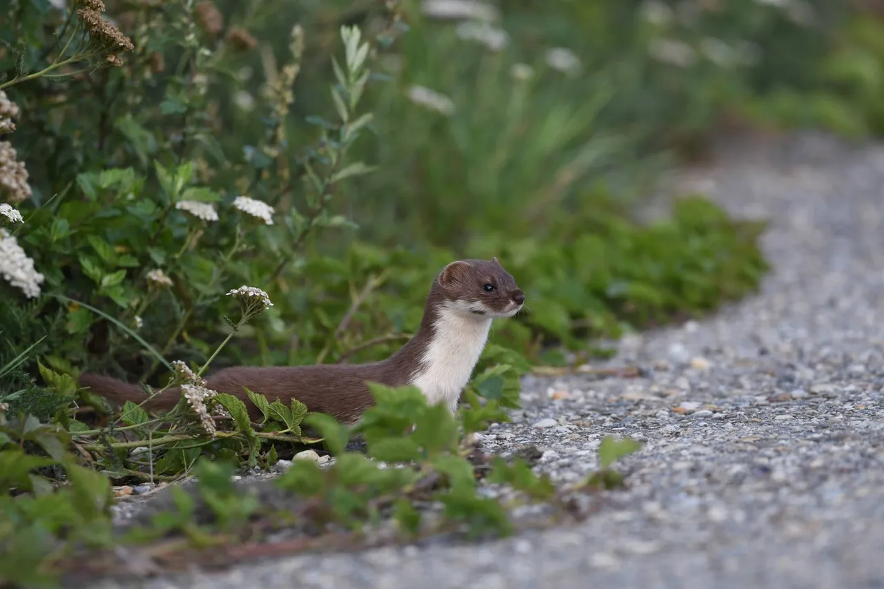 DSC_5542.jpg