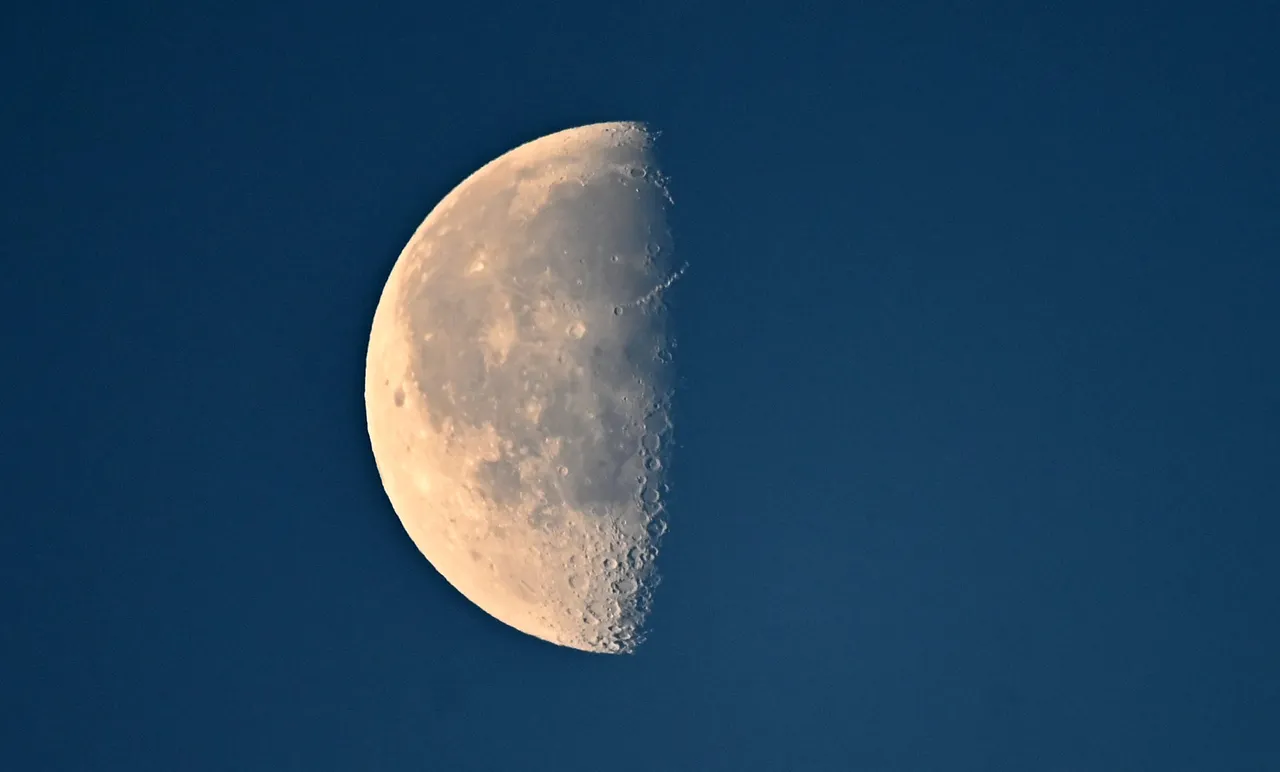 Z62_3133.jpg